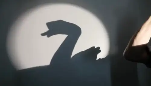 Shadow Puppets Every Single Day! I want to become professional.