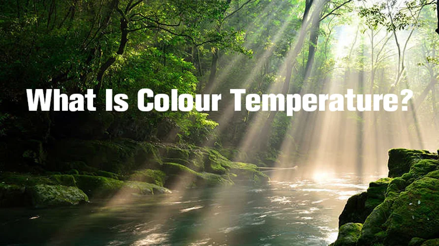 What Is The Colour Temperature Of Torches?