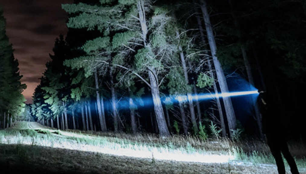 A Complete Guide On Choosing A Hunting Torch- Olight Australia