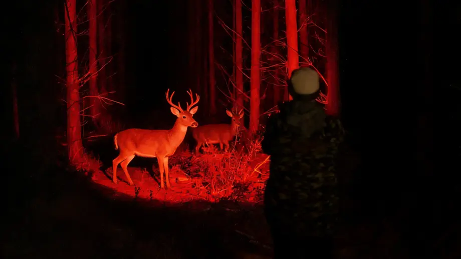 Essential Guide to Hunting Torch Kits: Light Up the Night