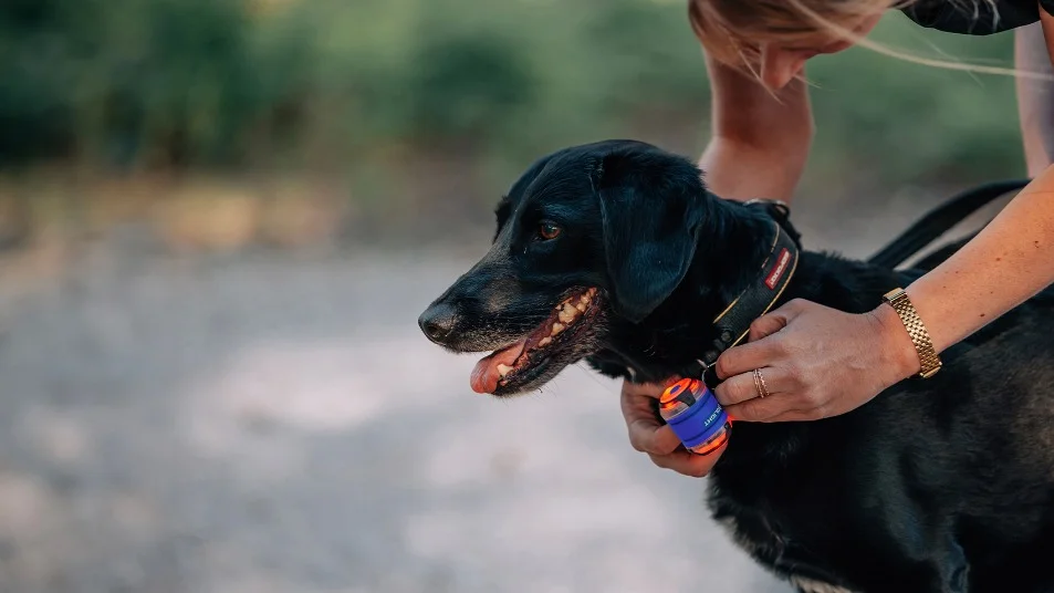 Bright Multi Color Kids Torch Makes the Perfect Toy Gift
