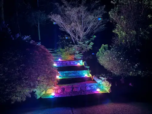 From decorative to ghoulish