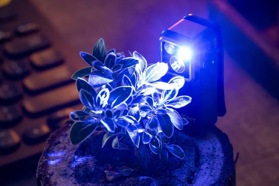 What 365nm UV Light Reveals in Your Home (You’ll Be Surprised)