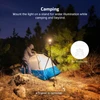 Person setting up tent with camping light on tripod at night in forest