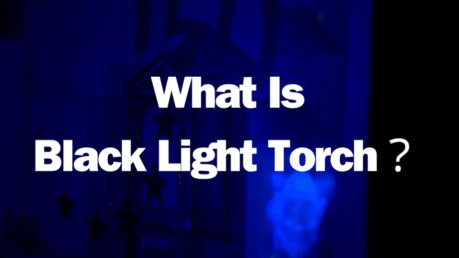 What Is A Black Light Torch?